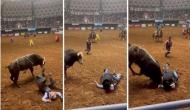 Father puts his life on line to save son from raging bull, terrifying video goes viral 