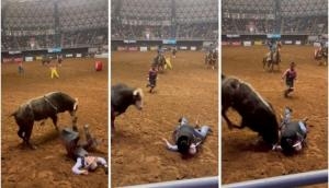 Father puts his life on line to save son from raging bull, terrifying video goes viral 