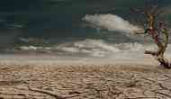 Human-induced climate change can cause dangerous disruption in nature: Scientists