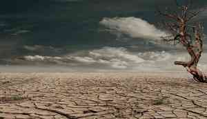 Human-induced climate change can cause dangerous disruption in nature: Scientists