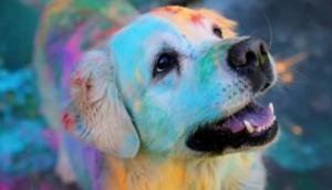 Happy Holi 2022: Bengaluru officials urge people not to apply colours on animals