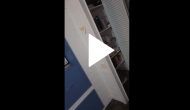 Woman left horrified after she discovers scary surprise in her kitchen; watch haunted video