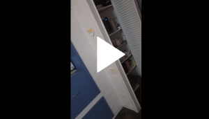 Woman left horrified after she discovers scary surprise in her kitchen; watch haunted video