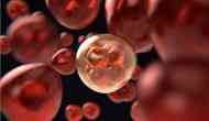 Children with rare autoimmune diseases show additional symptoms: Study