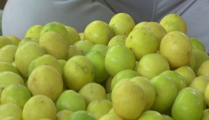 Amid rising temperatures, prices of lemon skyrocket to Rs 200/kg in Gujarat's Rajkot