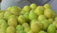 Amid rising temperatures, prices of lemon skyrocket to Rs 200/kg in Gujarat's Rajkot