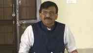 Shiv Sena MP Sanjay Raut dubs Eknath Shinde's faction as 'snakes'