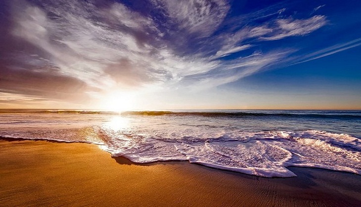 Ocean water samples provide treasure trove of RNA virus data: Study