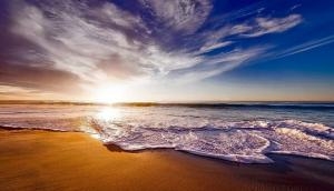 Ocean water samples provide treasure trove of RNA virus data: Study