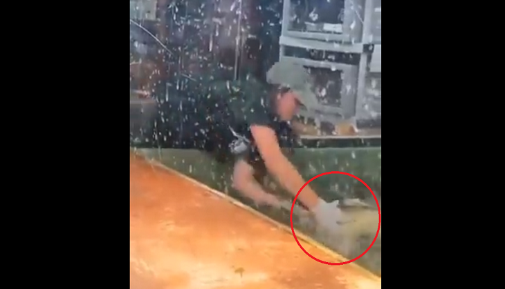OMG! Alligator bites animal trainer during birthday party