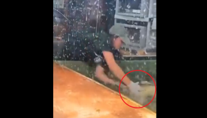 OMG! Alligator bites animal trainer during birthday party