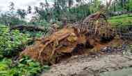 Assam: Death toll rises to 14 as heavy rain accompanied by storm, lightening lashes state