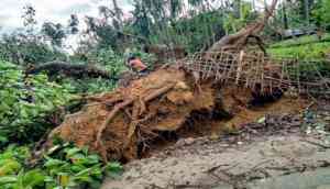 Assam: Death toll rises to 14 as heavy rain accompanied by storm, lightening lashes state