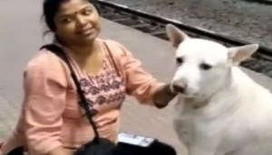 Video of woman feeding curd rice to stray dog like a mother will melt your heart!