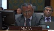 India at UNSC expresses concern over clashes at holy places of Jerusalem