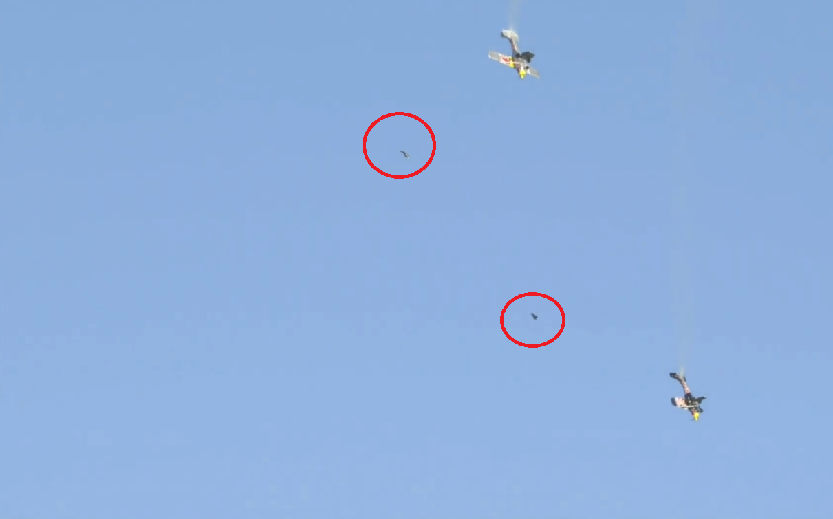 Pilots try to swap their planes in mid-air; what happens next will make you scream NOPE