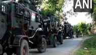 J-K: 2 terrorists involved in attacks on migrant labourers killed in Pulwama encounter