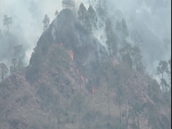 Jammu and Kashmir: Massive fire in forest belt in Reasi
