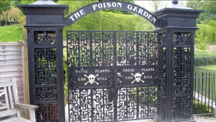 Poison Garden, dubbed 'world's deadliest garden', has plants that can kill 