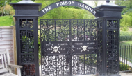 Poison Garden, dubbed 'world's deadliest garden', has plants that can kill 