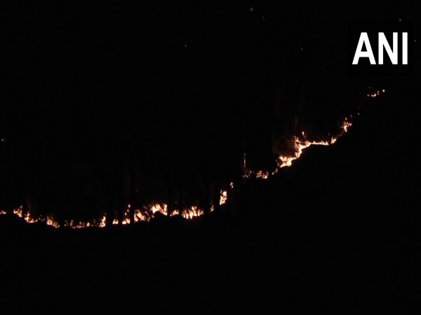 Jammu and Kashmir: Fire breaks out in Margana forest area