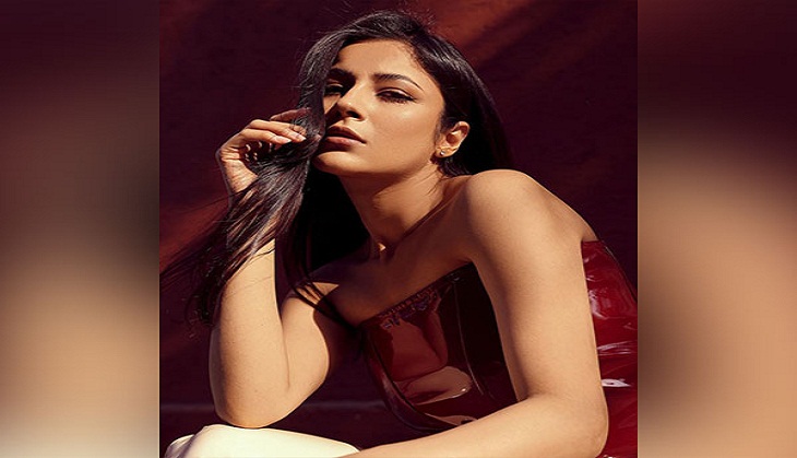 Shehnaaz Gill dances to popular song of Britney Spears; video will leave you stunned!