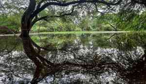 Delhi to be made city of lakes, says Gopal Rai
