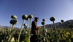 Taliban unlikely to curb Afghanistan's drug trade: Report