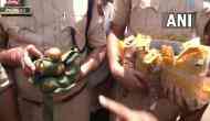 J-K: Drone with payload of bombs, grenades shot down in Kathua 