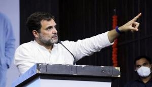 India needs job security, not 'racial purity': Rahul Gandhi to Centre