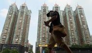 China's real estate mess put global economy on crutches