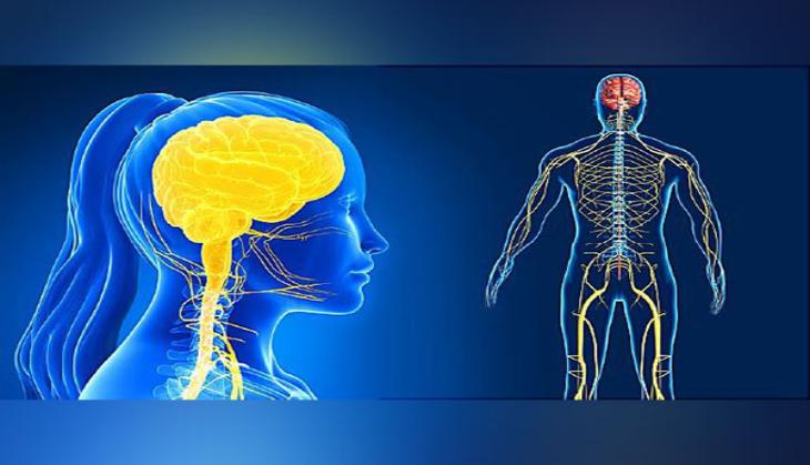 Brain cell activity is responsible for central nervous system disorder outcomes