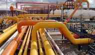 Import of Russian crude oil not India-related issue: MEA