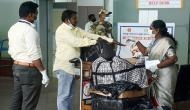 Monkeypox in UP: Sample of girl from Ghaziabad sent for testing, Govt sources say 'unnecessary panic mongering'