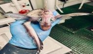 Fisherman posts image of deep sea creature, netizens horrified [See Pic]