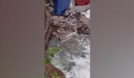 ITBP recovers body of driver who fell into river in Sikkim while clicking photos