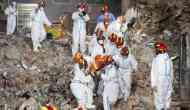 China: 5 killed after building collapses due to heavy rain