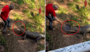 Man finds bizarre technique to shoo away angry crocodile; watch viral video