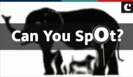 Brain-teaser: How many animals can you see in this viral optical illusion puzzle?