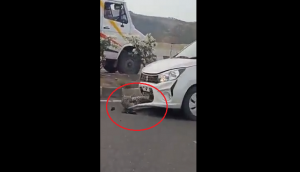 Leopard gets stuck on car’s bonnet; what happens next will give you goosebumps!