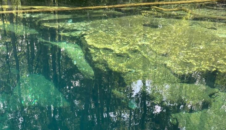 Teen swimmers make chilling discovery in murky lake