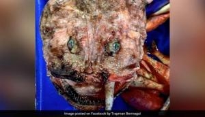 Unknown creature dubbed 'ugliest' caught in deep see [See Pic]