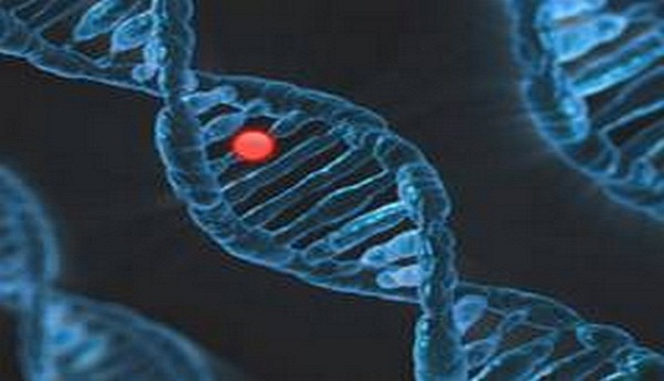 DNA methylation in bacteria regulates virulence, reproduction, and gene expression: Study