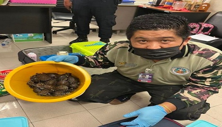 Two Indian women arrested in Bangkok for smuggling live animals: Report