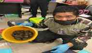 Two Indian women arrested in Bangkok for smuggling live animals: Report