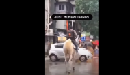 Swiggy delivery person rides horse to drop off order; here's the video