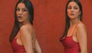 Shehnaaz GIll turns 'Senorita' in new video [WATCH VIDEO]