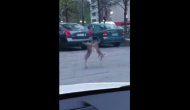 Watch: Two hares fight in the middle of a road, video goes crazy viral
