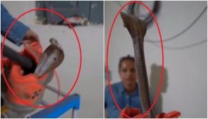 Snake hides inside man’s shoe; what happens next will give you goosebumps!