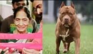 Lucknow shocker: Elderly woman mauled to death by son's pitbull dog